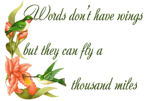 bird.gif