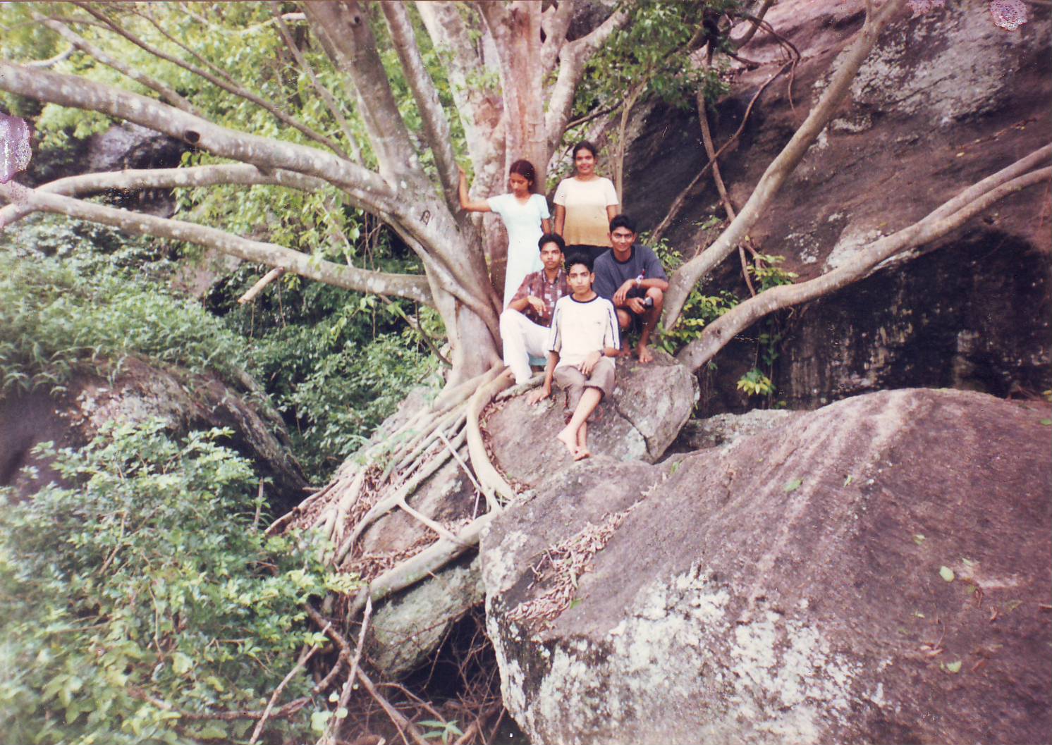 p3.jpg