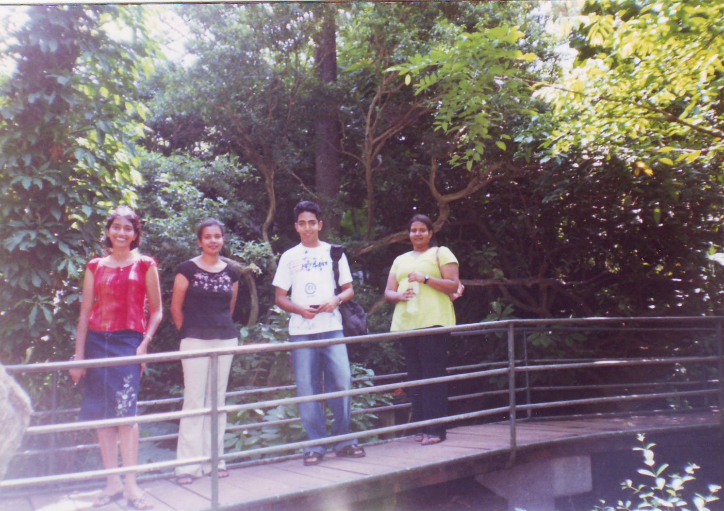 p7.jpg
